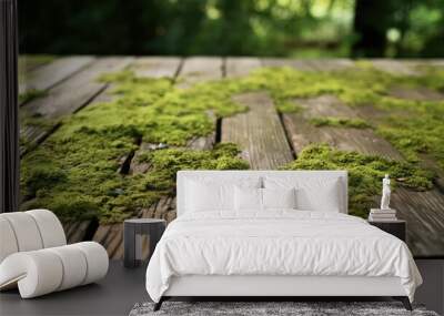 moss wood deck texture Wall mural