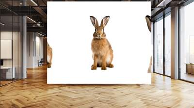 rabbit hare illustration nature bunny, wild easter, wildlife sitting rabbit hare Wall mural