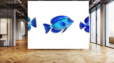 sea blue tang fish illustration tropical life, underwater marine, aquarium coral sea blue tang fish Wall mural