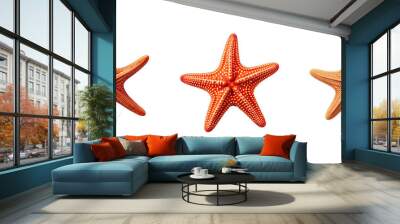 sea starfish illustration summer ocean, marine star, nature animal sea starfish Wall mural