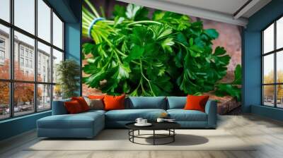 Fresh parsley bunch with vibrant green hue closeup Wall mural