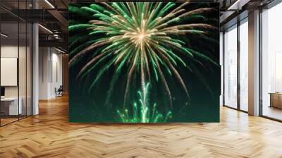 green bright celebration fireworks on plain black sky background from Generative AI Wall mural