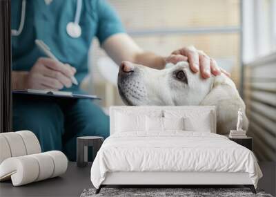 Close up of white Labrador dog at vet clinic with male veterinarian stroking his head, copy space Wall mural