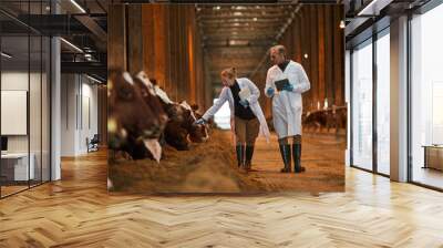 Full length portrait of two veterinarians walking towards camera while inspecting cows at dairy farm, copy space Wall mural