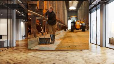 Full length portrait of young woman cleaning cow shed while working at farm or family ranch, copy space Wall mural