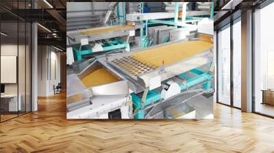 High angle view  of production process at modern food factory, focus on conveyor machine  unit sorting macaroni, copy space Wall mural