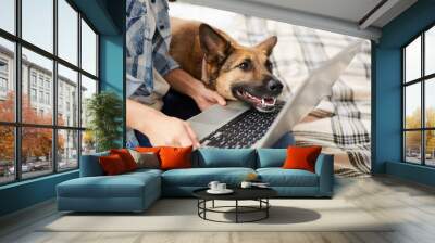 Portrait of excited dog looking at laptop screen while online shopping in pet store with owner, copy space Wall mural