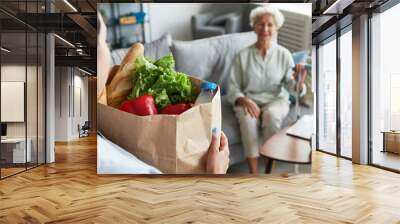 Portrait of female caregiver bringing groceries to senior woman, copy space Wall mural