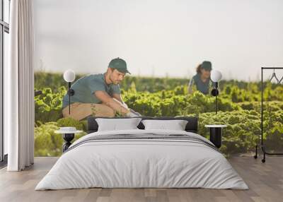 Portrait of two people gathering harvest while working at vegetable plantation outdoors lit by sunlight, copy space Wall mural