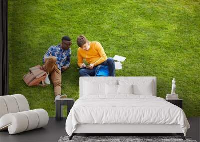 Wide angle portrait of two students sitting on green grass in college campus and studying outdoors, copy space Wall mural