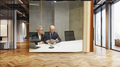 Wide angle portrait of two successful mature business people reading notes while sitting at table in minimal office interior behind glass wall, copy space Wall mural