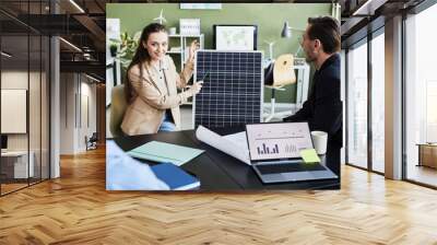 Young woman presenting solar panel to her colleagues during business meeting at office Wall mural