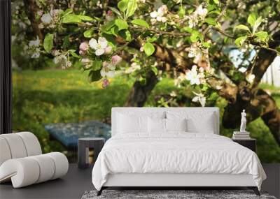 Blooming apple tree with beautiful fresh buds, white and pink  petals  and  flowers in front of blue garden table and wooden benches. Joy and beauty of colorful spring season, closeup. Wall mural