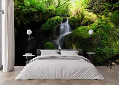 Valley full of moss on rocks with clear water Wall mural