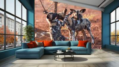 group of wild dogs Wall mural