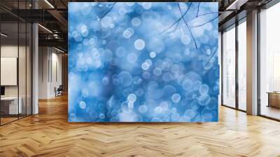 Abstract Natural Blue Blur Winter Background Wall mural