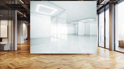 Blank office space. 3D rendering Wall mural