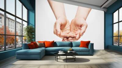 two hands isolated on white Wall mural