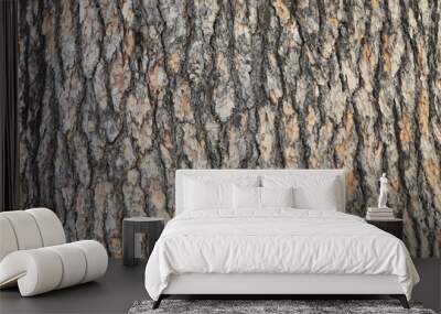 Pine tree bark texture with beautiful pattern Wall mural