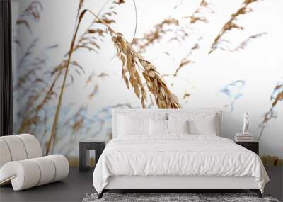 Ocean breeze Wall mural