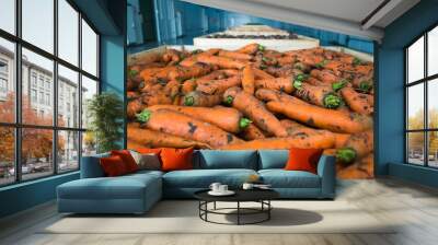 Fresh orange carrots in the box Wall mural