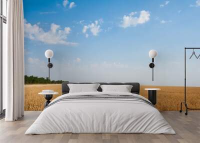 Golden wheat field and sunny day Wall mural