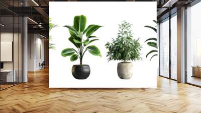 A row of potted plants with different sizes and shapes Wall mural