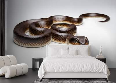 Banded water snake on white background, AI Generated Wall mural