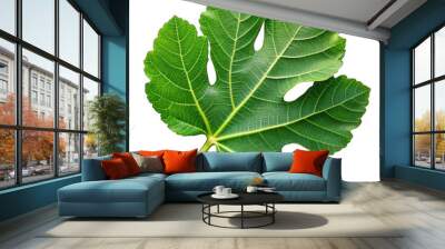 Fresh organic fig vine leaf isolated on transparent background Wall mural