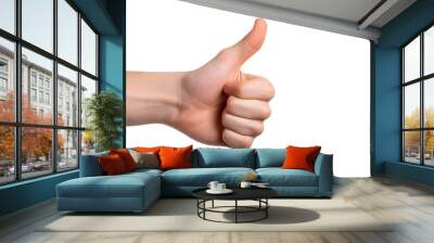 Hand with thumb up gesture isolated on transparent background. Wall mural