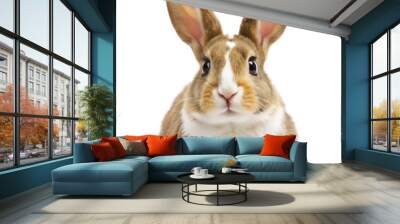 Happy brown and white rabbit isolated on transparent background Wall mural