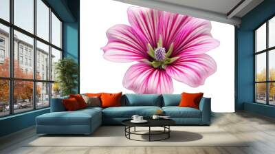 Wild mallow flower isolated on transparent background Wall mural