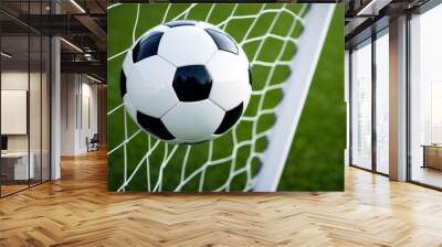 soccer ball in goal net Wall mural