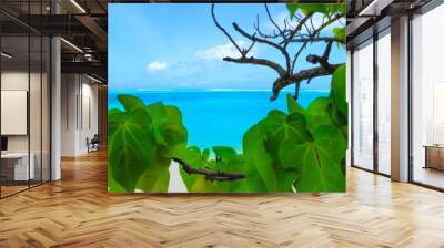 Tropical beach Wall mural