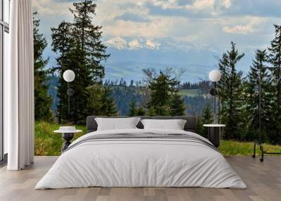 Beautiful mountain spring landscape. Beautifully snow-capped peaks of mountains above green hills. Wall mural