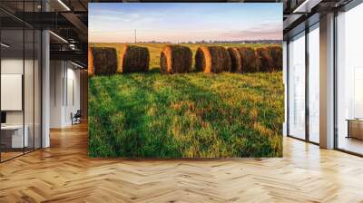 Haystacks on the field in early morning. Straw bales drying on a green grass in summer season, Poland. Wall mural