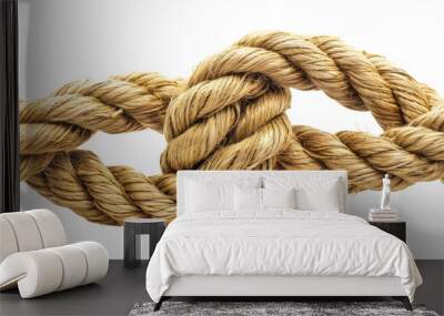 Isolated line rope knot PNG on transparent background Wall mural