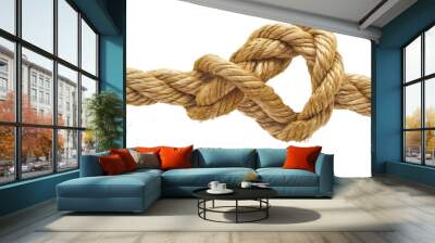 Isolated line rope knot PNG on transparent background Wall mural