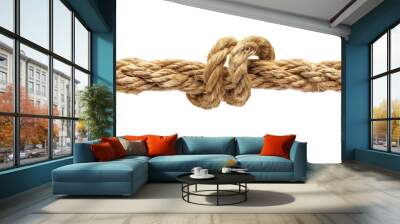 Isolated line rope knot PNG on transparent background Wall mural