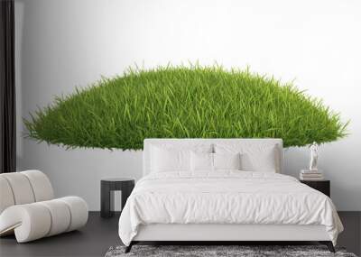 Lush green grass isolated on transparent background. Wall mural