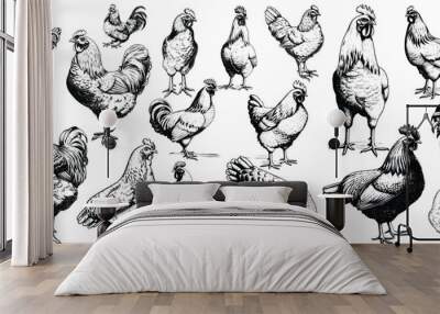 Chicken set illustration ink sketch Wall mural