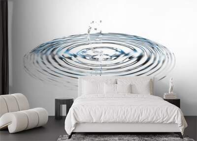 Ripple of water or water drop splash on transparent background. Abstract shape out of the water Wall mural