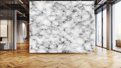 Abstract White marble texture for skin tile wallpaper. Marble stone nature pattern. Luxurious material interior or exterior design. Marble gunge white background texture. Wall mural