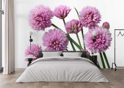 Chives flower on a transparent background. Flower png Wall mural