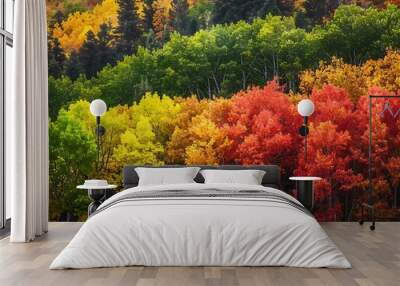 A vibrant autumn forest with trees displaying a spectrum of colors from green to gold to red captured in high detail and warm vibrant hues Wall mural