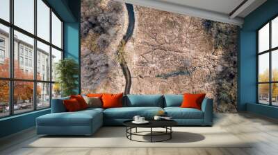 Aerial view of strange swamps and river in Poland Wall mural