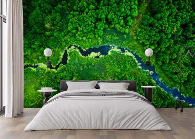 Amazing blooming algae on green river, aerial view Wall mural