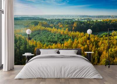 Autumn forest in sunny day, aerial view Wall mural