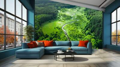 Curvy river and green forest. Aerial view of wildlife, Poland. Wall mural