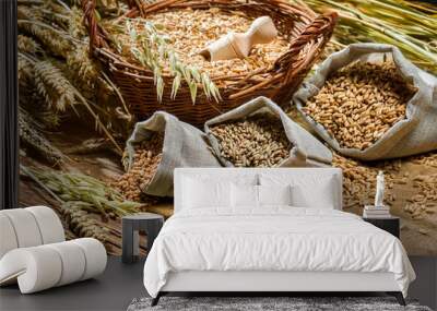 Different types of cereal grains with ears Wall mural